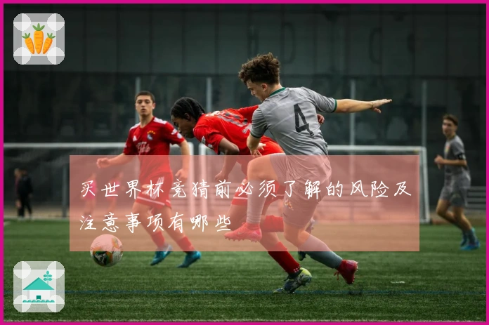 买世界杯竞猜前必须了解的风险及注意事项有哪些