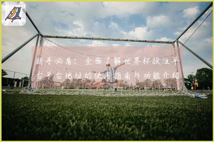 新手必看：全面了解世界杯投注平台平台地址的使用指南与功能介绍