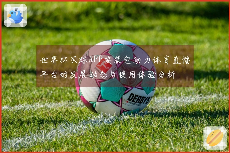 世界杯买球APP安装包助力体育直播平台的发展动态与使用体验分析
