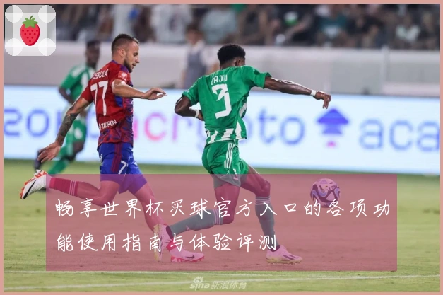 畅享世界杯买球官方入口的各项功能使用指南与体验评测