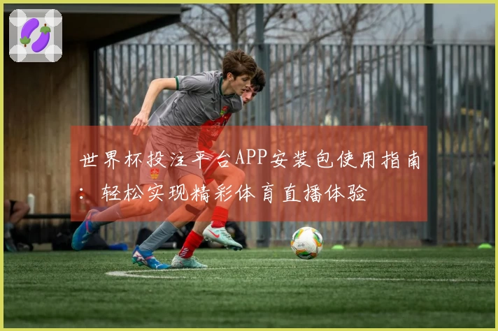 世界杯投注平台APP安装包使用指南：轻松实现精彩体育直播体验