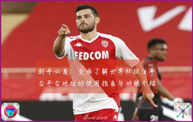 新手必看：全面了解世界杯投注平台平台地址的使用指南与功能介绍
