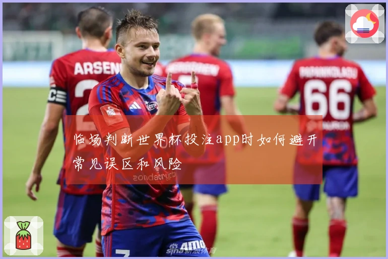 临场判断世界杯投注app时如何避开常见误区和风险