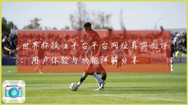 世界杯投注平台平台网址真实测评：用户体验与功能详解分享