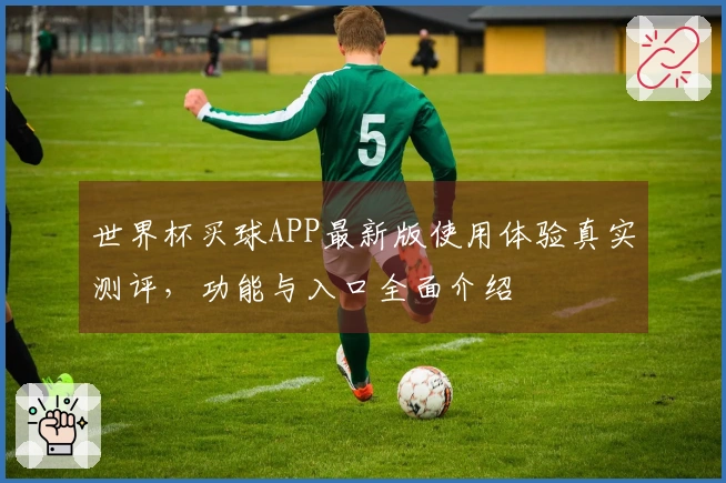 世界杯买球APP最新版使用体验真实测评，功能与入口全面介绍