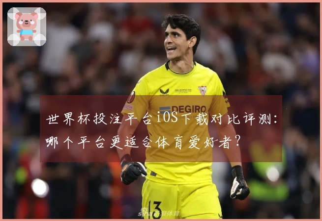 世界杯投注平台iOS下载对比评测：哪个平台更适合体育爱好者？