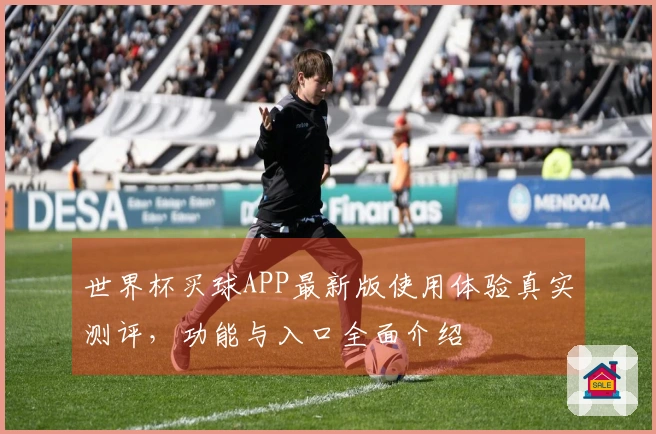 世界杯买球APP最新版使用体验真实测评,功能与入口全面介绍