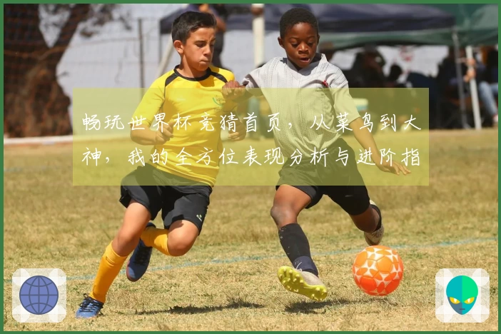 畅玩世界杯竞猜首页，从菜鸟到大神，我的全方位表现分析与进阶指南