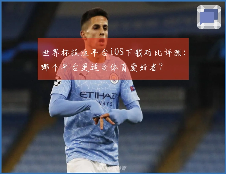 世界杯投注平台iOS下载对比评测：哪个平台更适合体育爱好者？