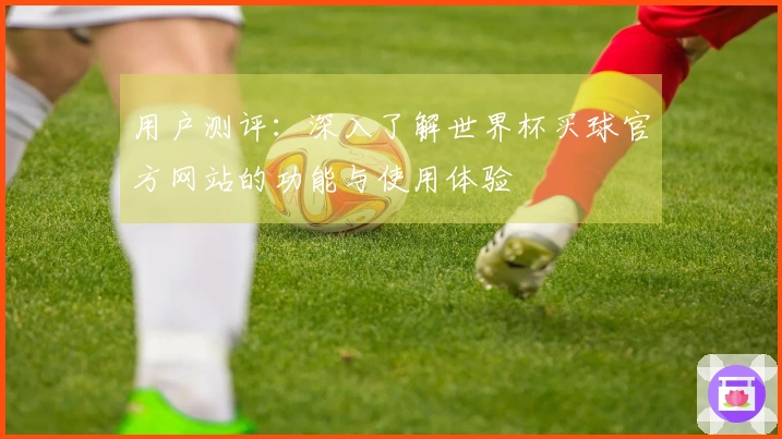 用户测评：深入了解世界杯买球官方网站的功能与使用体验