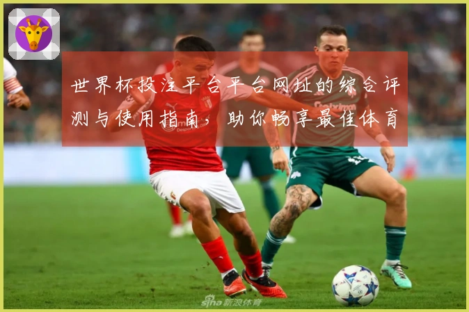 世界杯投注平台平台网址的综合评测与使用指南，助你畅享最佳体育直播体验